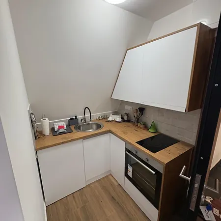 Divcibarski Pogledi *