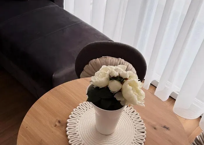 Divcibarski Pogledi *