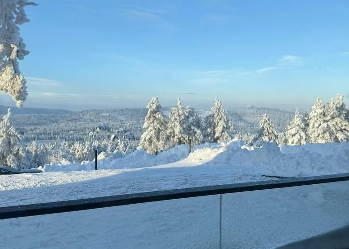 Divcibarski Pogledi *