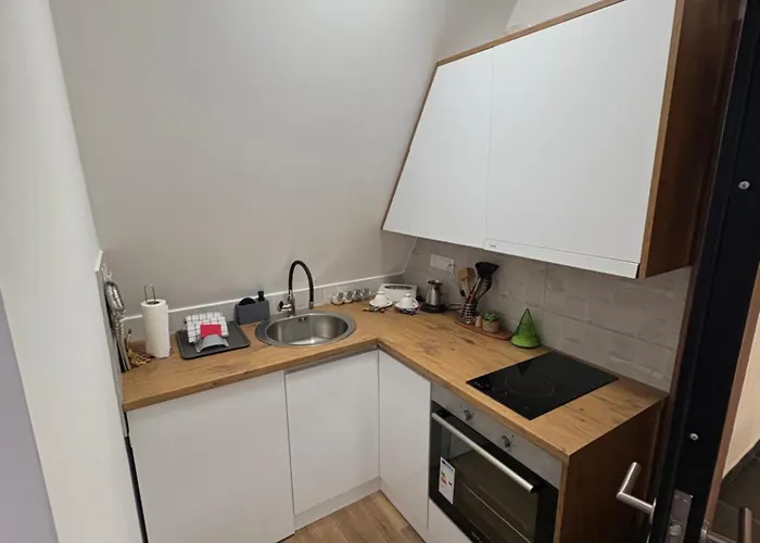 Divcibarski Pogledi *